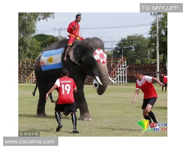 细数当今足坛顶级球星独特技术风格与惊艳球场表现